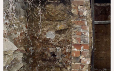 Retaining Walls Design and Structural Integrity of Existing Walls