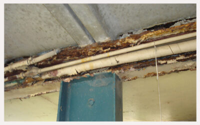 How To Remedy Steel Corrosion/Rust Damage in Construction